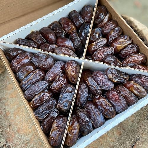 Medjool California Dates Organic Medjool Dates 5 lbs, Fresh from California, Vegan, Gluten-Free, Paleo-Friendly, No Added Sugars or Preservatives, Sweet and Soft, Versatile Snack for Baking and Cooking (5 Lbs) Product of USA